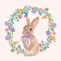 Image Not Available